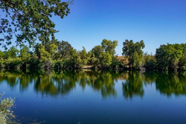 Shadow Cliffs Boat Ramp Shadow Cliffs Shows off its Late Summer Beauty | Pleasanton News ...