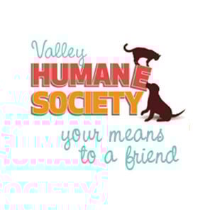 Tennis Tournament Raises Funds for Animal Shelters | News | Tennis Tournament Raises Funds for Animal Shelters | News |