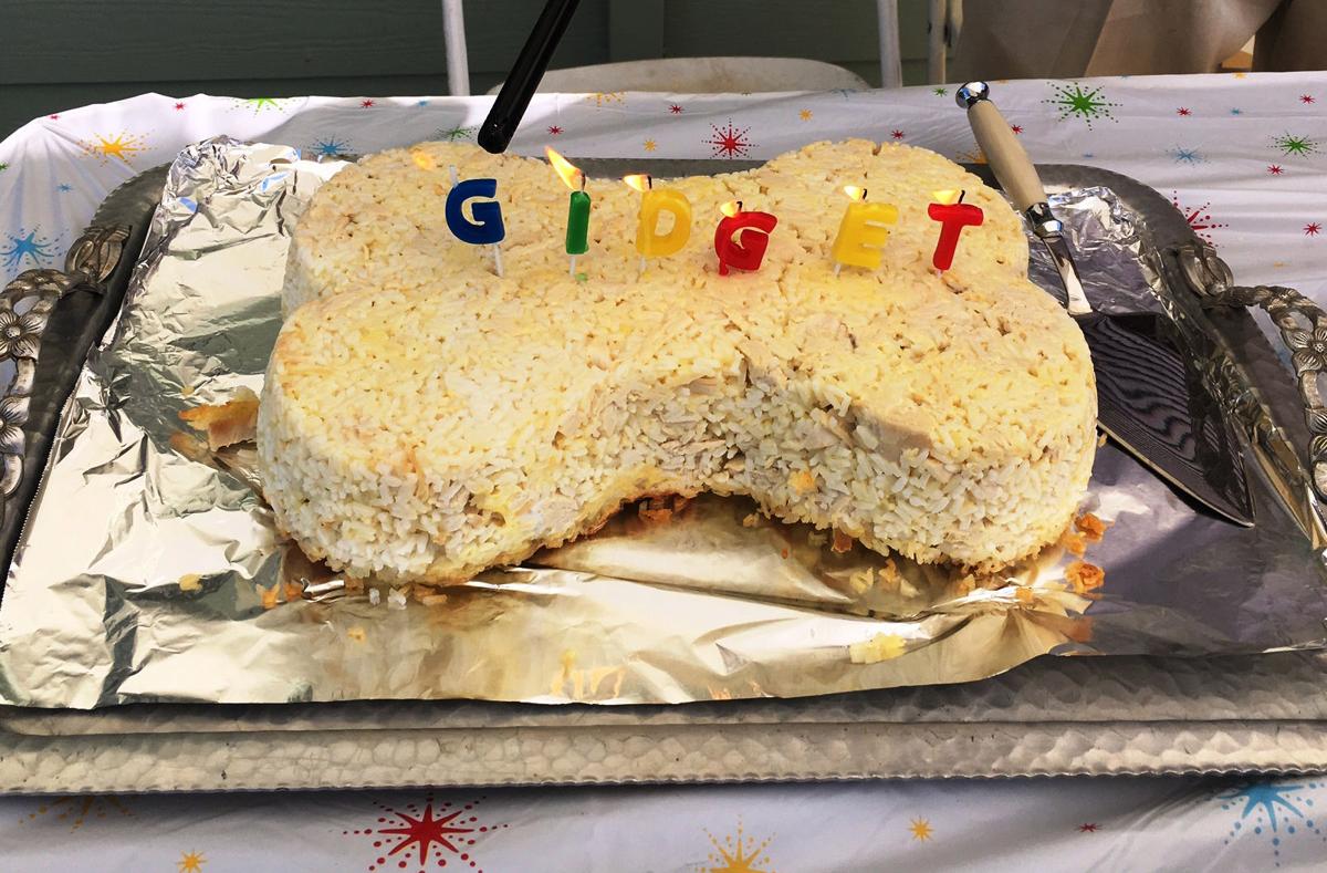 Gidget S Birthday Celebration Included Cake Games And Friends