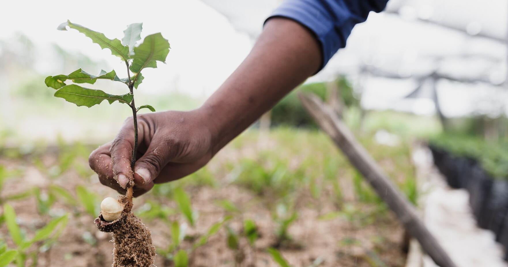 Cities Invite Residents to Join In Tri-Valley Earth Day Events - Vimarsana News