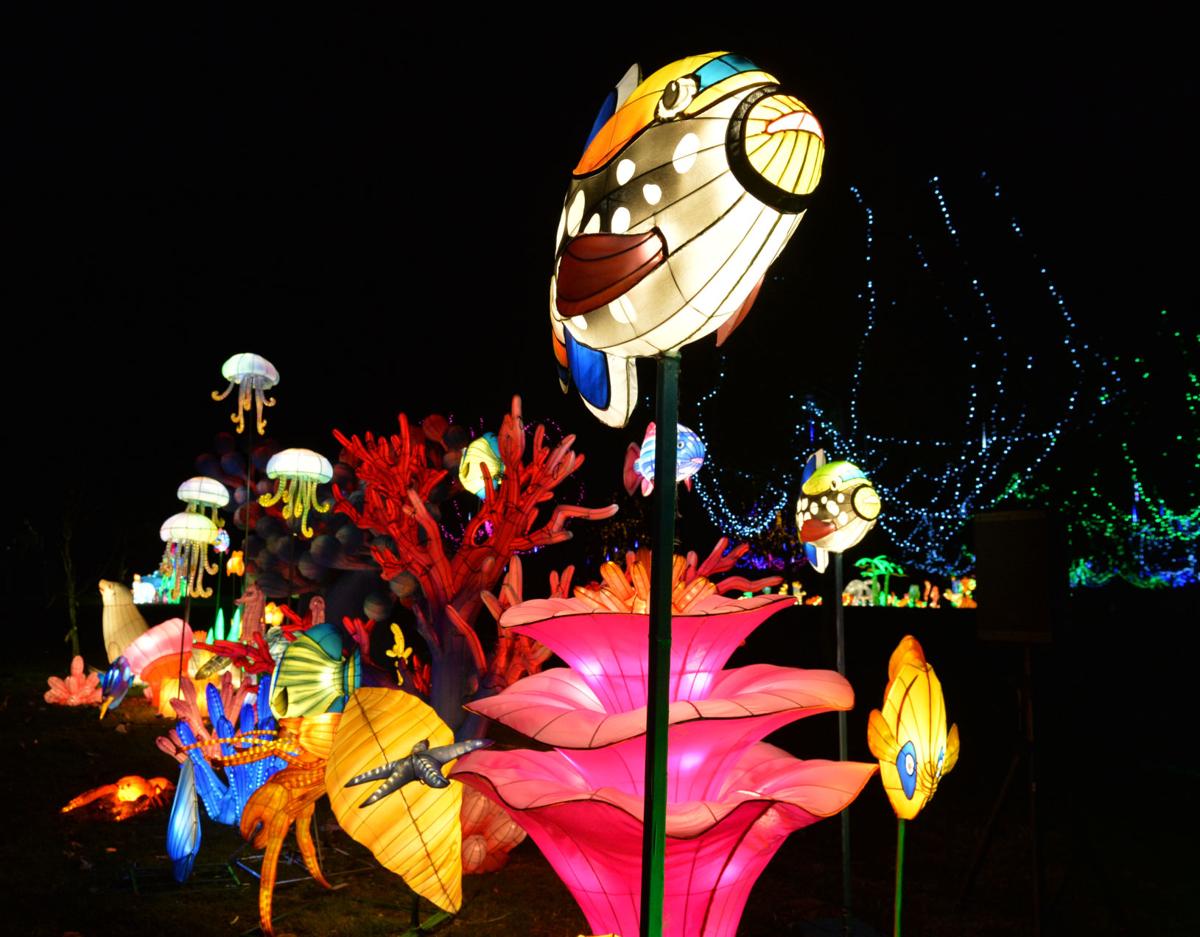 The LumiNight Lantern Festival Shines Brightly at the Alameda County ...