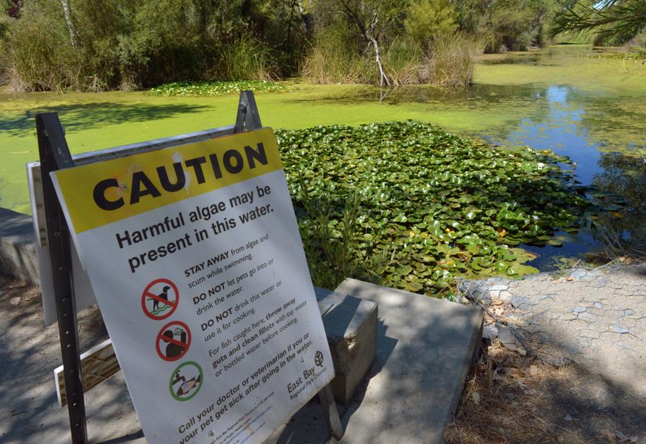 Zone 7 Starts Ozone Treatment of Musty Drinking Water at Del Valle Water Treatment Plant - Livermore Independent