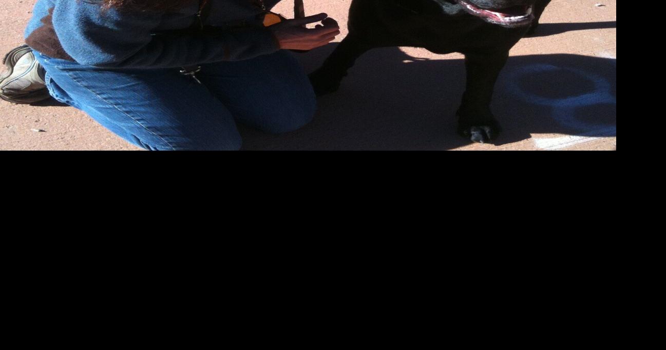 Writing Coach C. S. Lakin to Conduct on Emotions for Tri