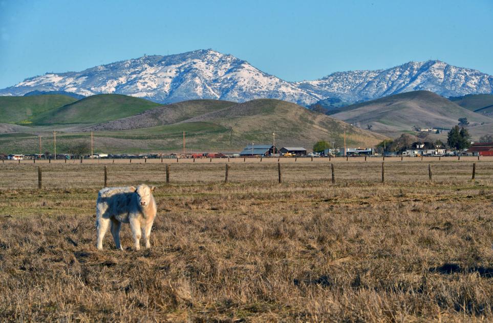 SnowCovered Livermore Hills