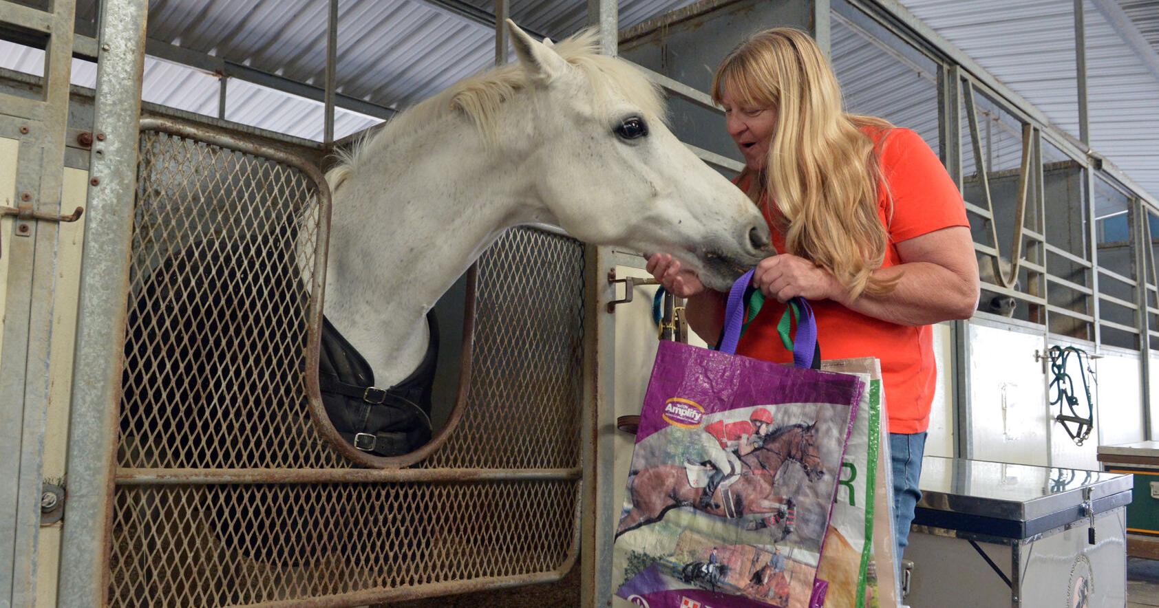 Pleasanton Group Bags Donations to Save Horses, Donkeys - Vimarsana News