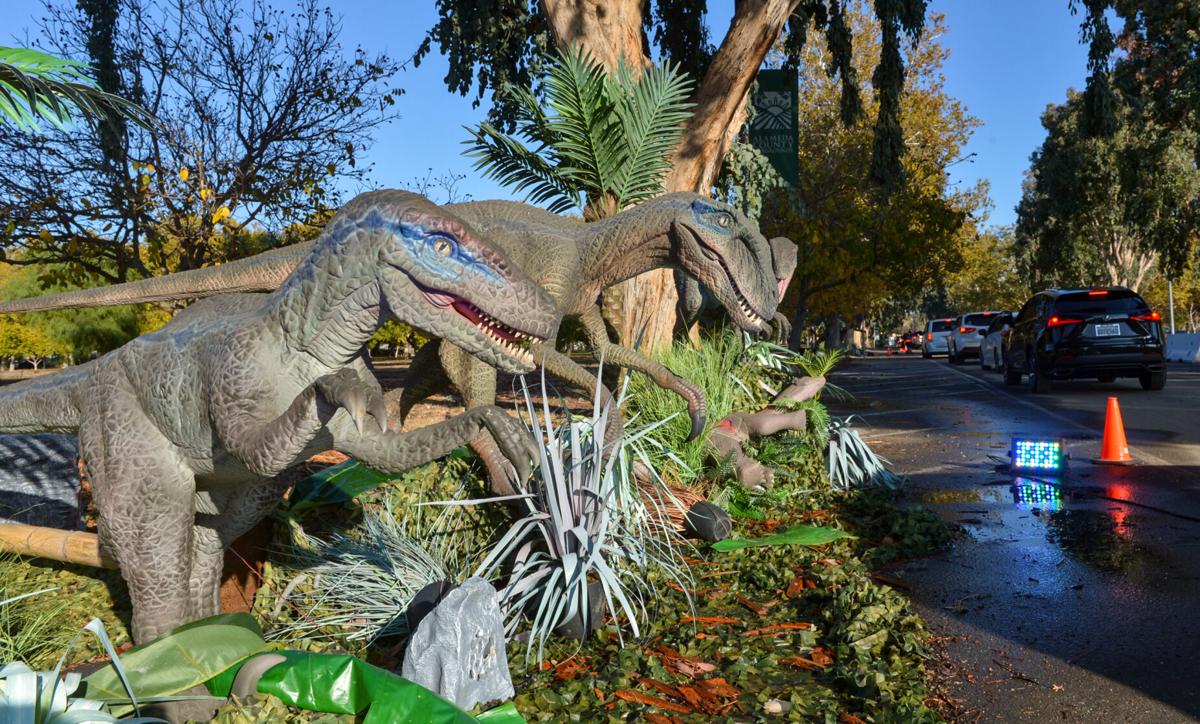 Dinosaur Adventure Drive Thru Bay Area Regional Ca News Independentnews Com