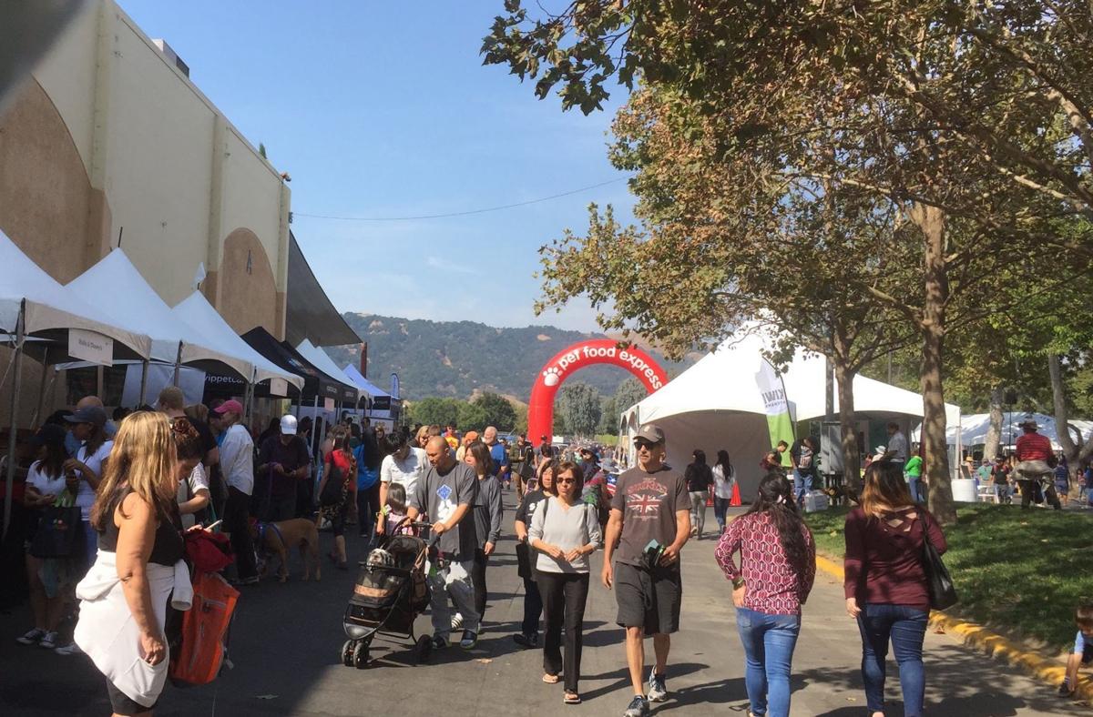 Annual Pet Fair a Time for Pet Lovers to Celebrate Community News