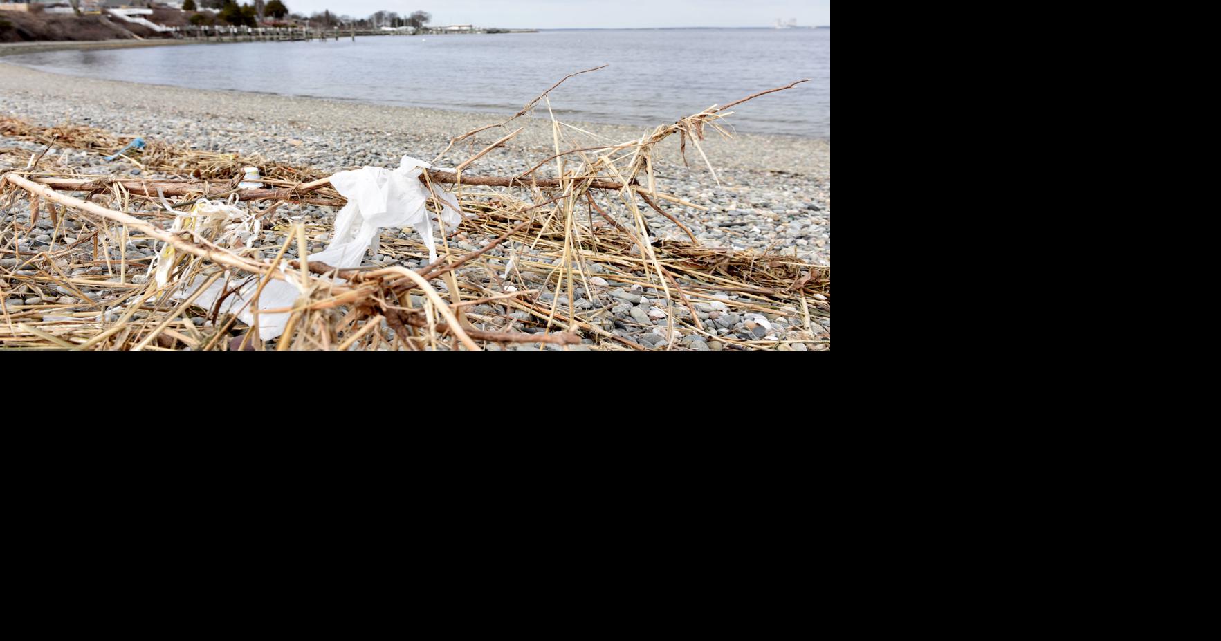 NK adopts new rules for plastic bags North Kingstown