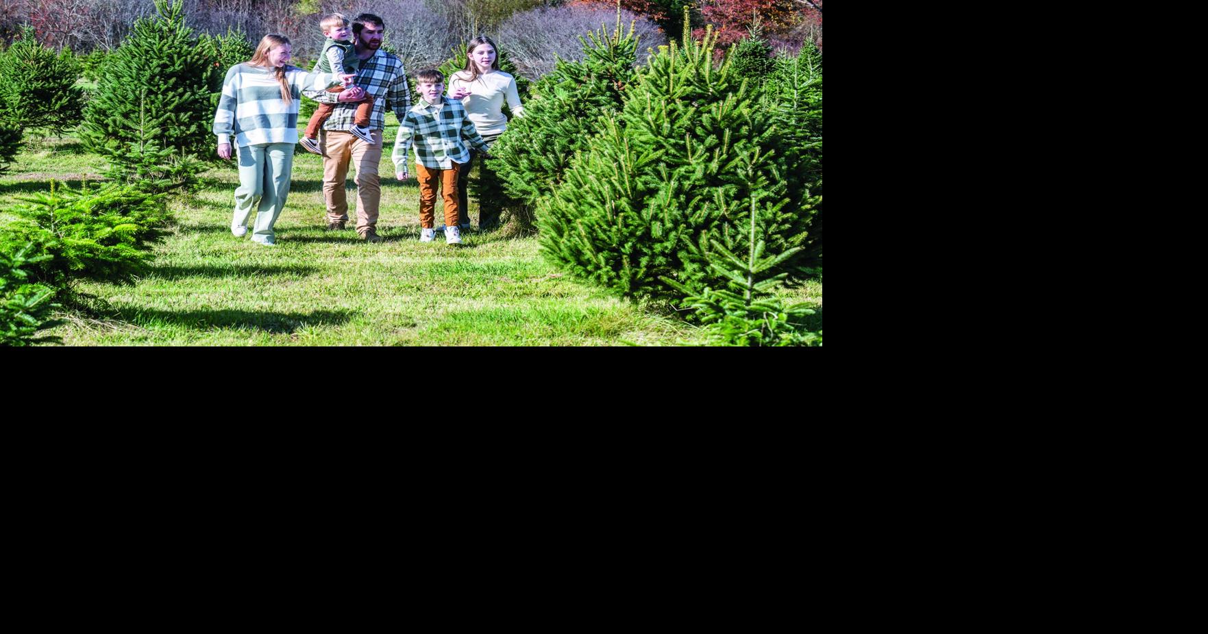 At Riverside Tree Farm, picking your Christmas Tree is a chance to ...