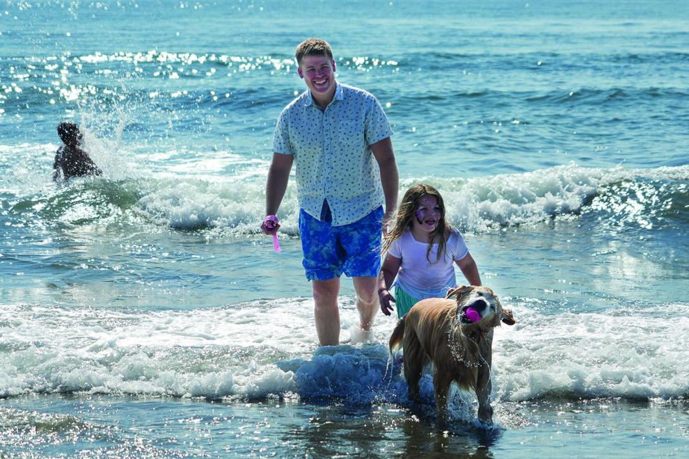 Animal Rescue Rhode Island aims to raise $50K this weekend