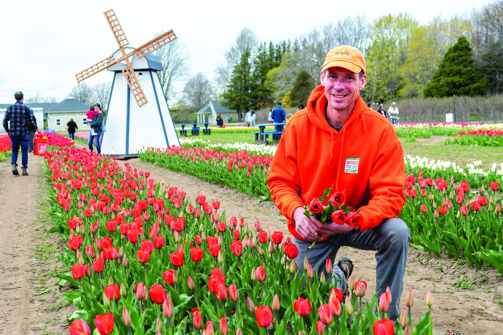 Popular pick-your-own tulips farm expanding with new NK location
