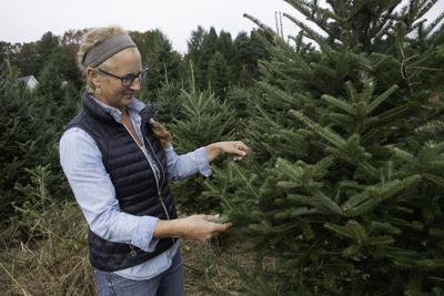 Green Acres Christmas Tree Farm