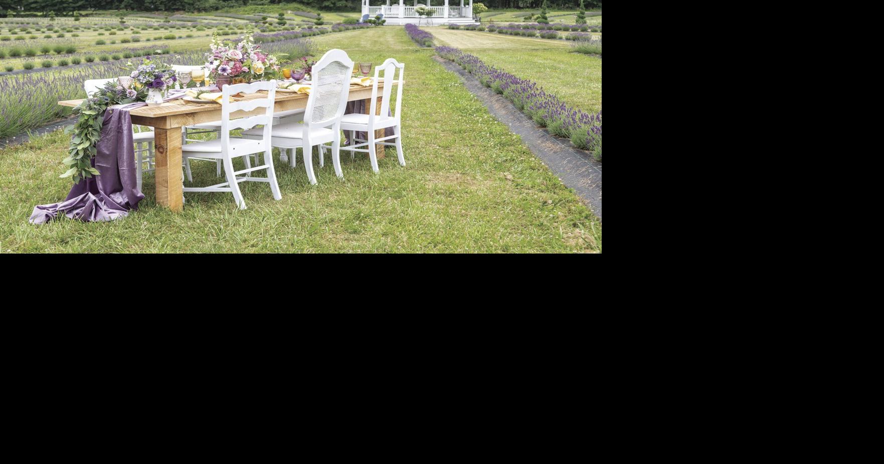 Lavender Waves Farm: Dr. Henry Cabrera’s Oasis for Nature Enthusiasts
