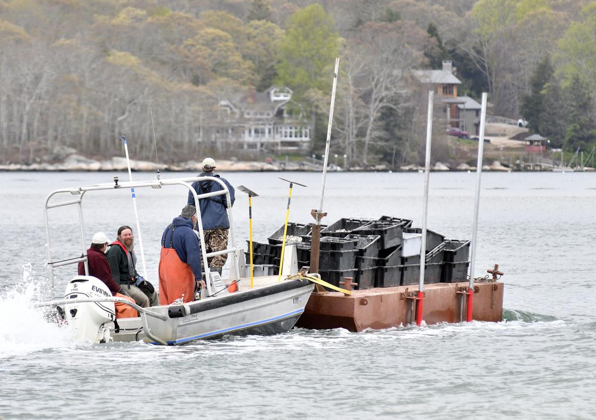 Fish Haven Land & Sea