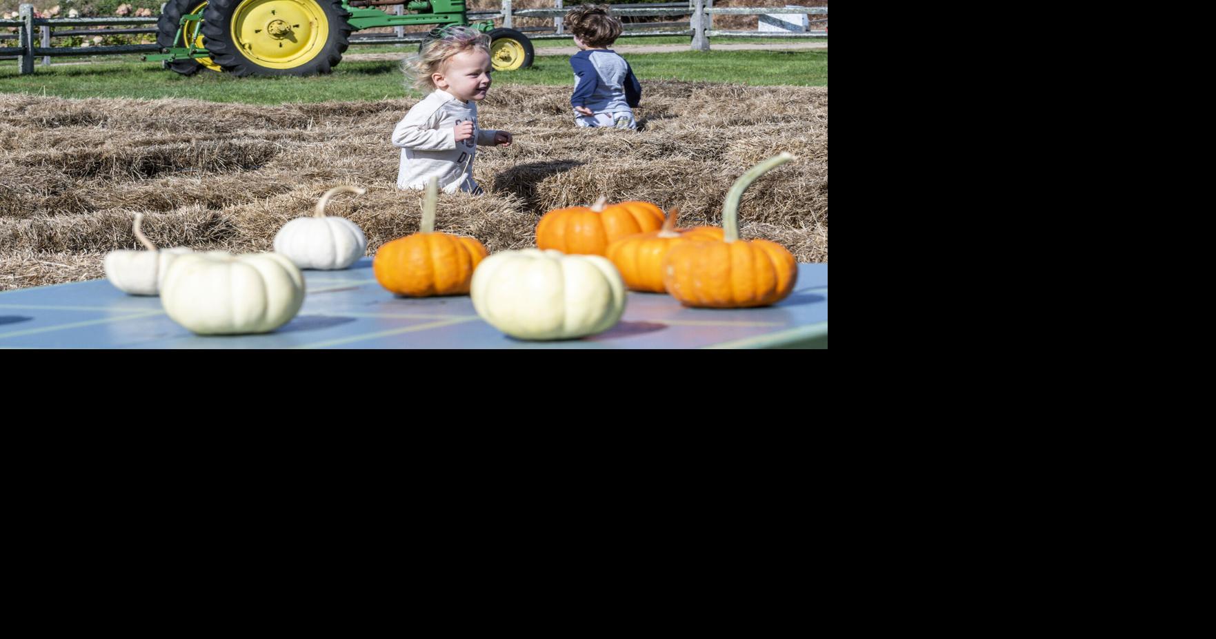 Local farm puts twist on fall fest tradition