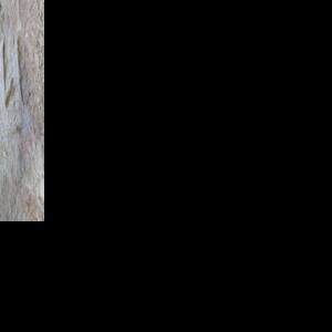 Forensic geologist says rune stone markings carved by religious sect ...