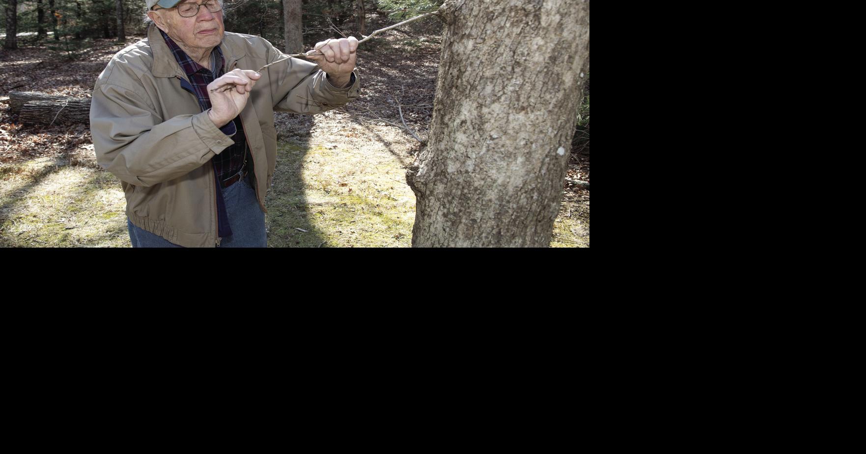 Putting down roots: Taking stock of South County’s trees has been a ...