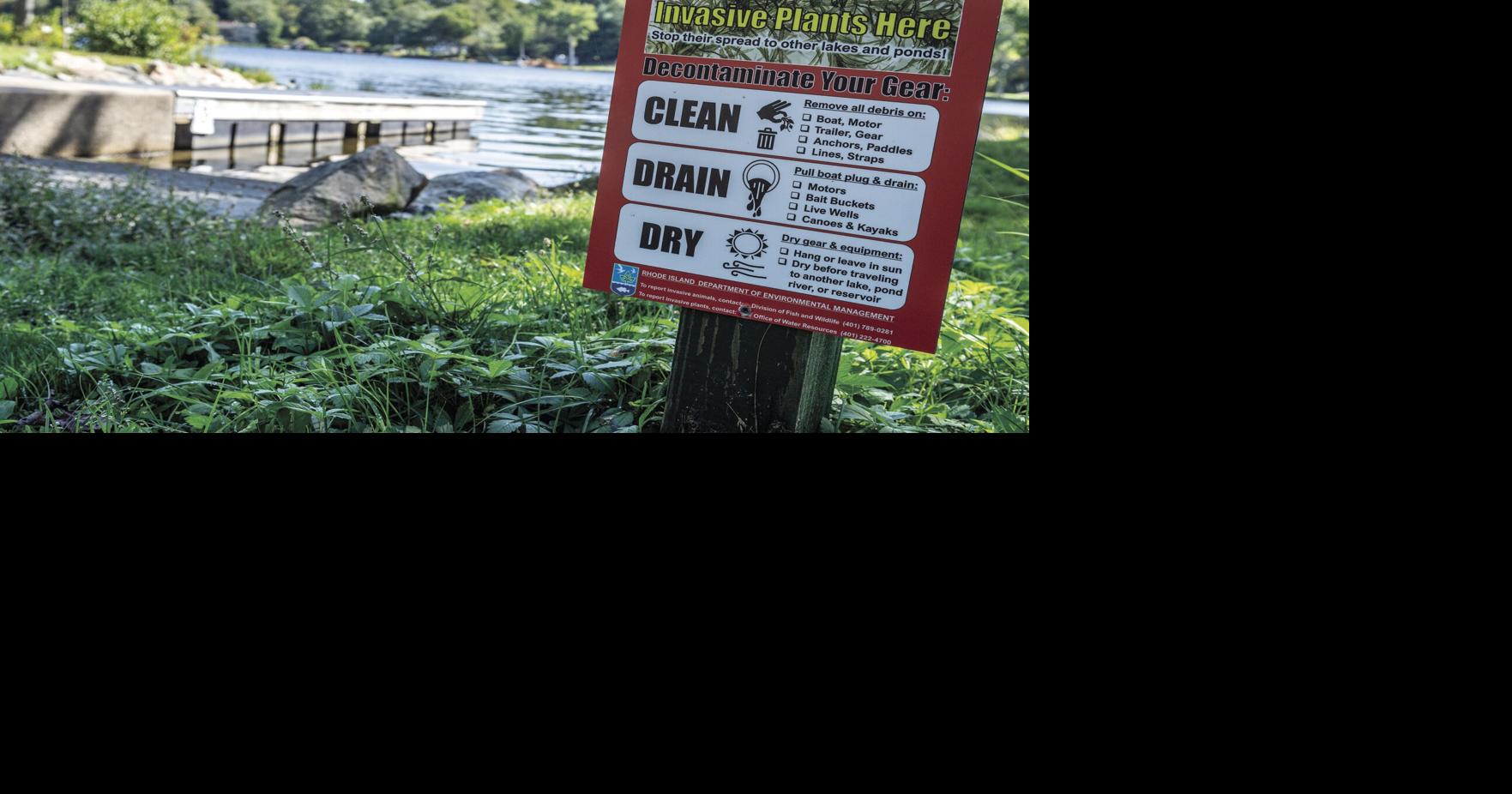 Indian Lake homeowners faced with fight against invasive weeds, News