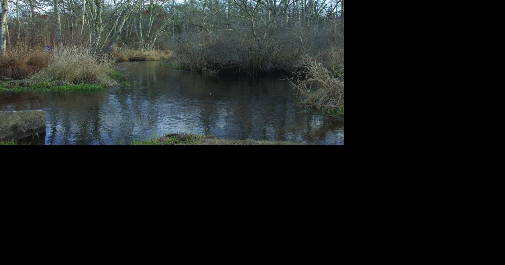 South County Rivers: The Chipuxet River carries culture on its way to Great Swamp