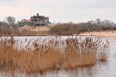 Taking A Winter S Walk On The Wild Side Of Moonstone Arts And