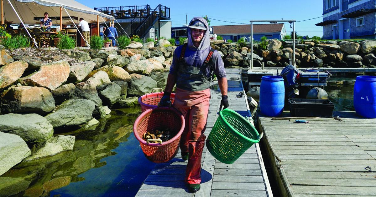 Six weeks after a devastating fire, Matunuck Oyster Bar back to business