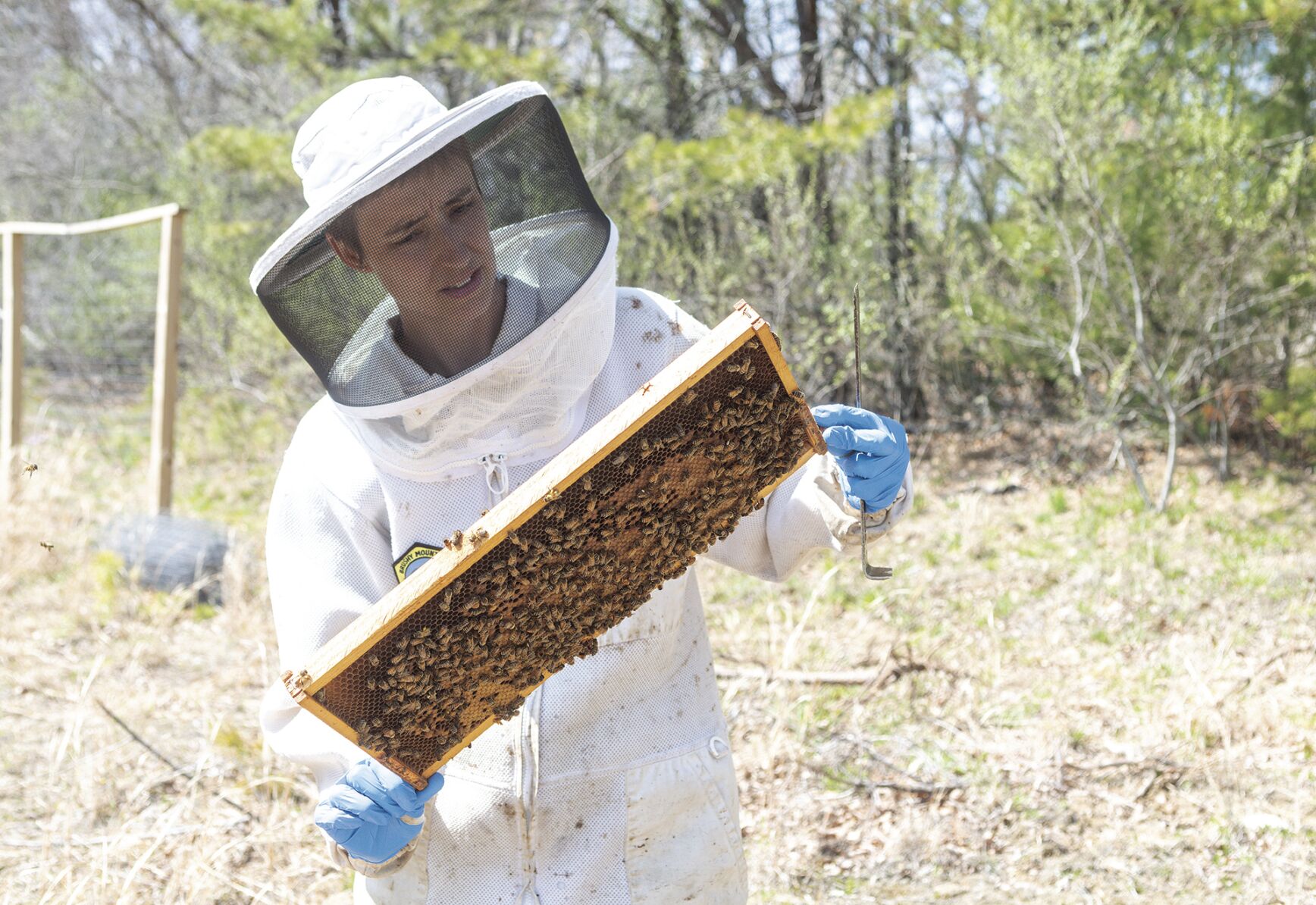 Local Beekeepers Find The Reward Of Their Hobby Is As Sweet As Honey ...