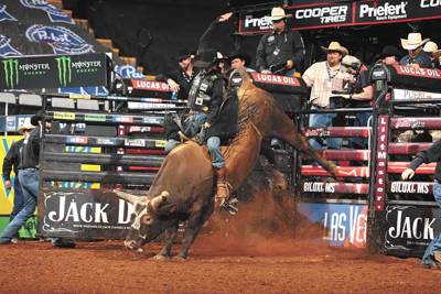 Bucking the Trend | Archive | inlander.com