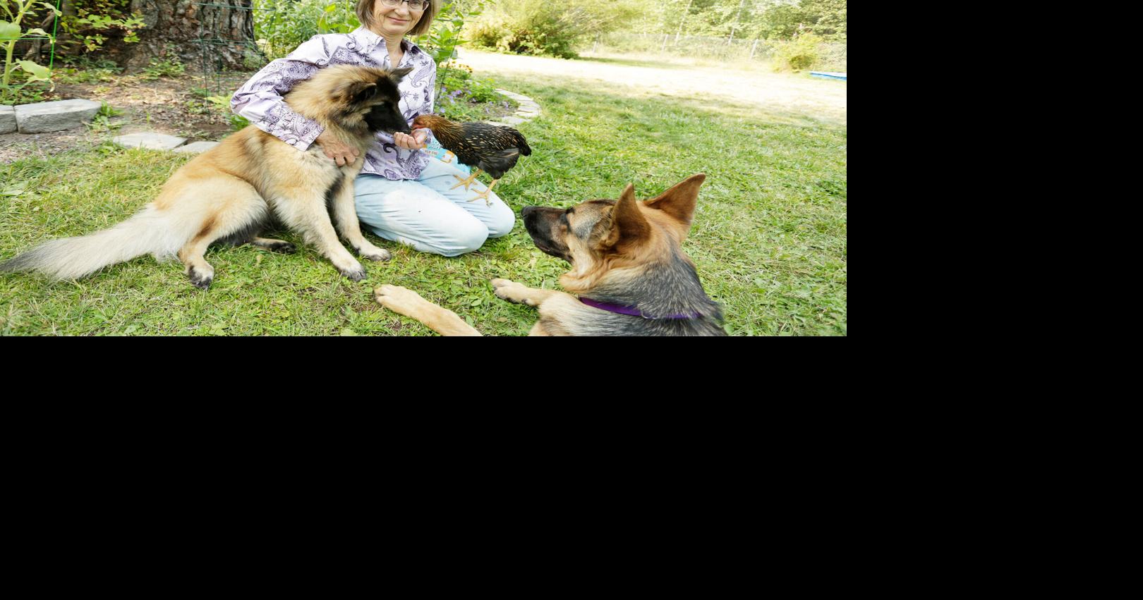 PETS Meet two animal communicators in the Inland Northwest who connect telepathically with pets Aug 6, 2026 1 hr ago