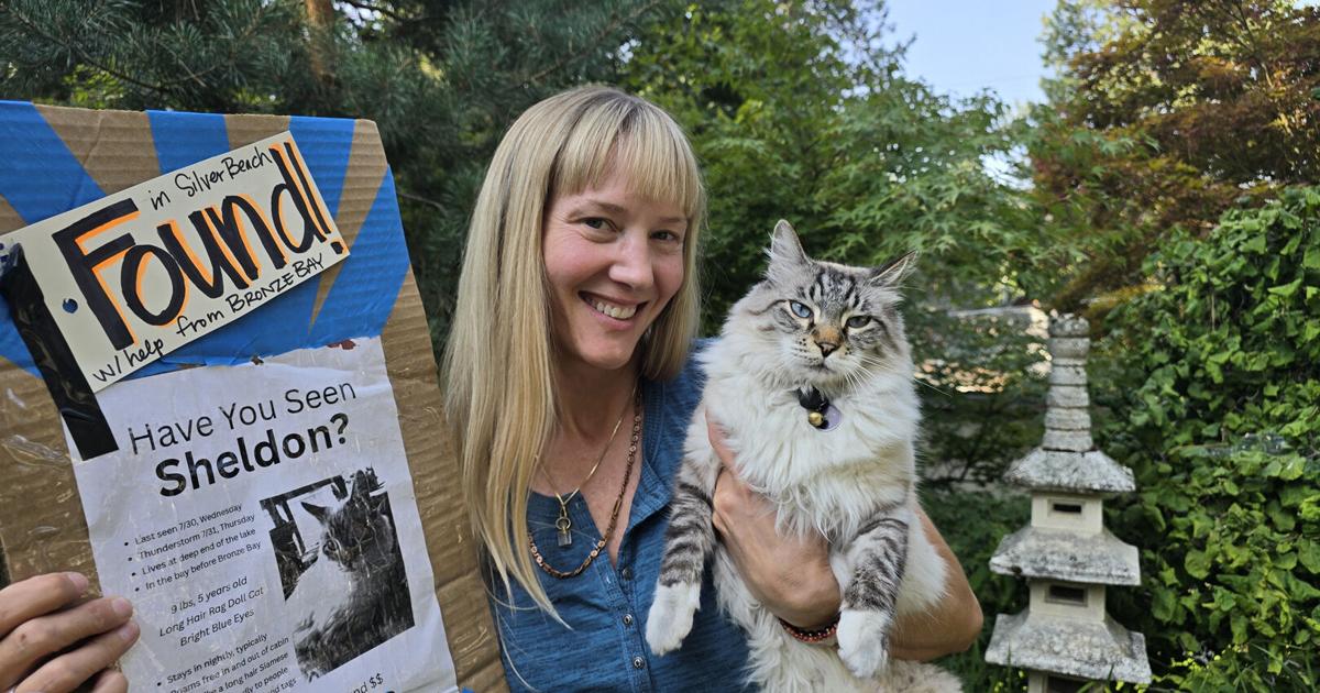 PETS A Spokane mother-daughter duo's project 509 Cats shares stories of previously missing felines Aug 6, 2026 52 mins ago