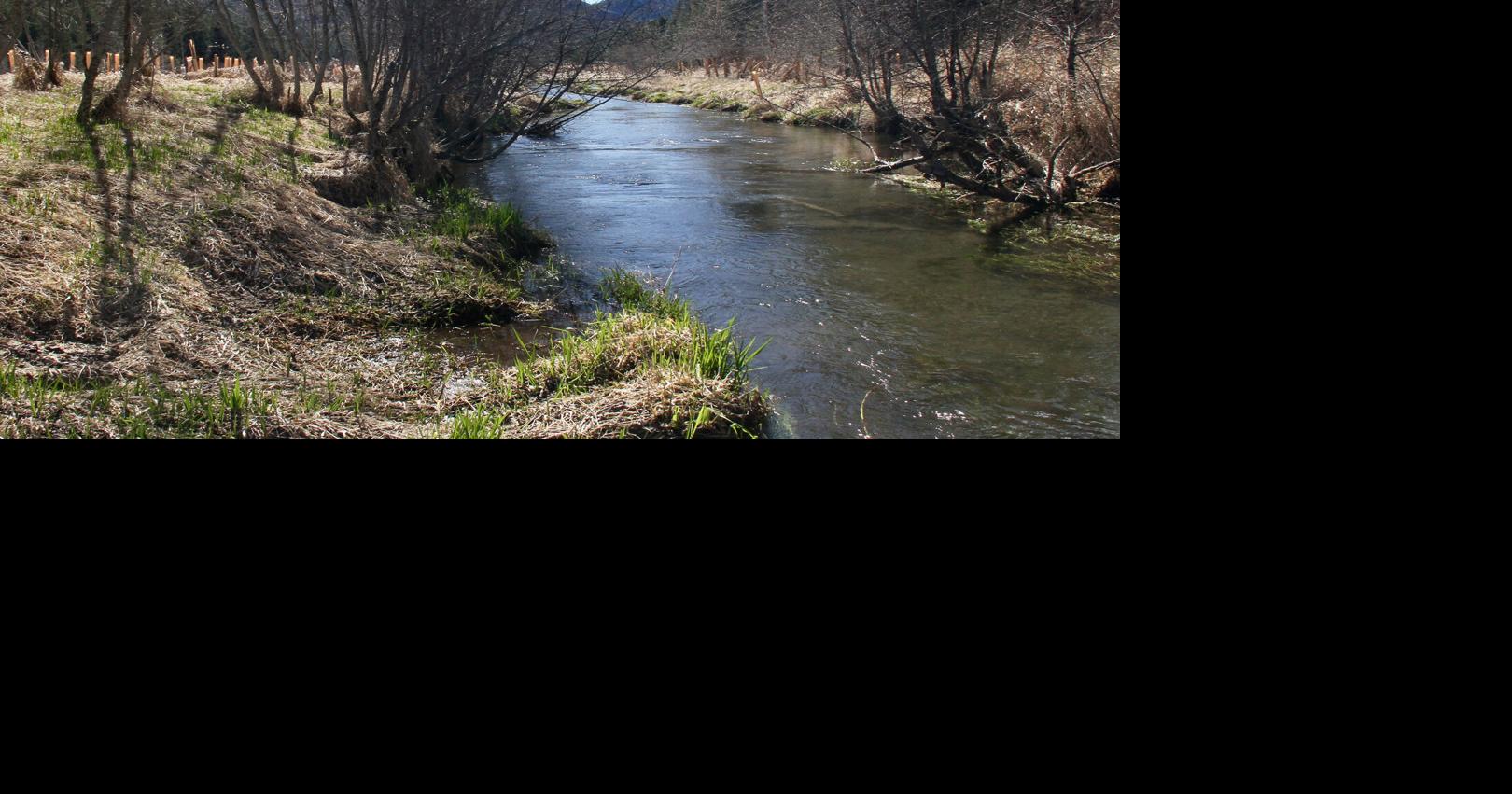 NEWS BRIEFS: Donated land expands a Little Spokane River conservation area