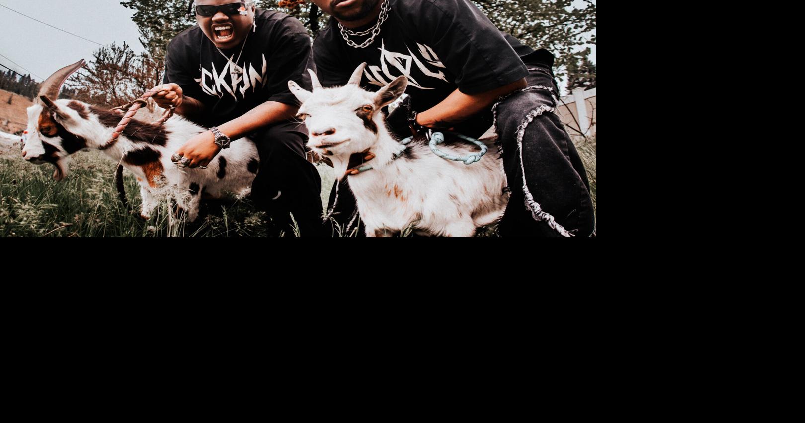 Bands to BLXCKPUNKS