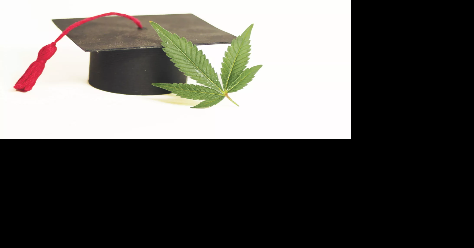 A cannabis-focused learning academy provides professional industry ...