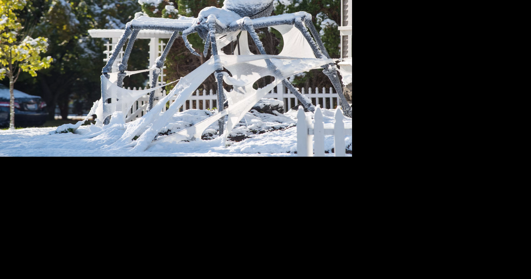ARACHNAPPED! Nine-foot-wide giant spider gets stolen from Browne's ...