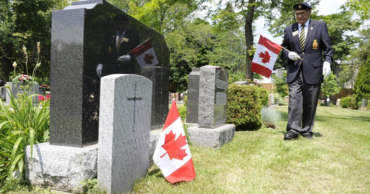 Veterans day 2024 freebies florida Veterans day 2024 freebies florida