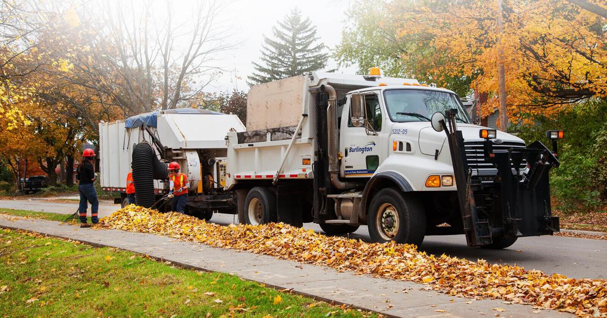 Burlington loose leaf collection costs $820,000