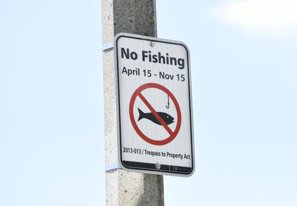 Changes coming to fishing restrictions in Oakville following complaints  from local anglers
