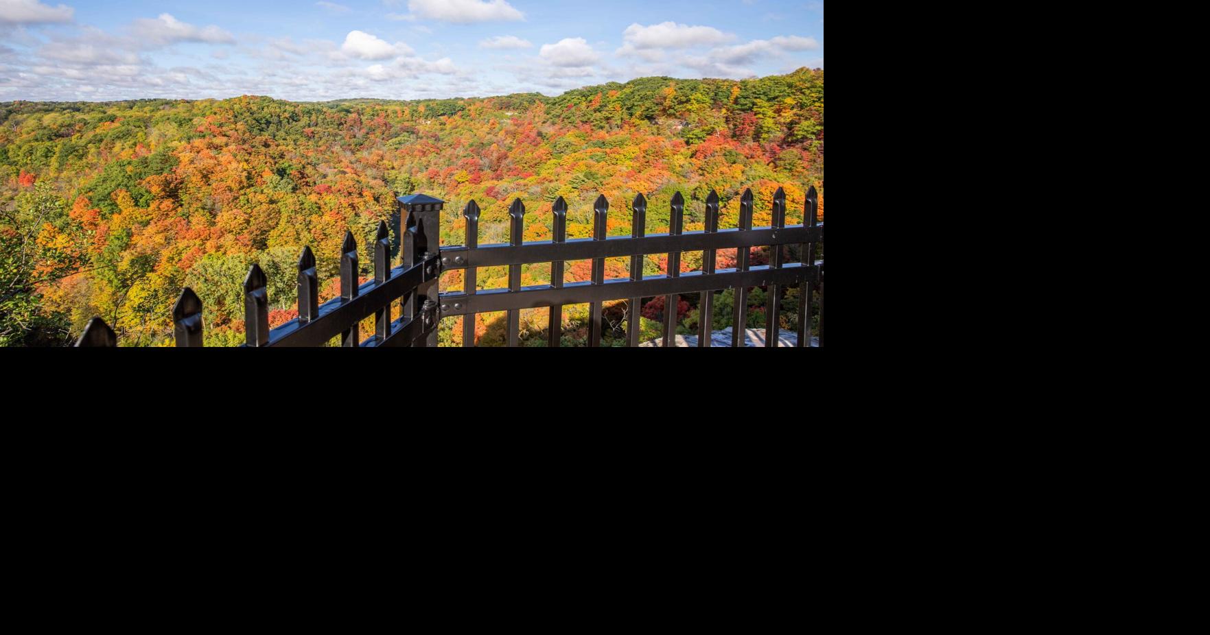 Ontario fall guide 2026: Fall colours, salmon spawning, more