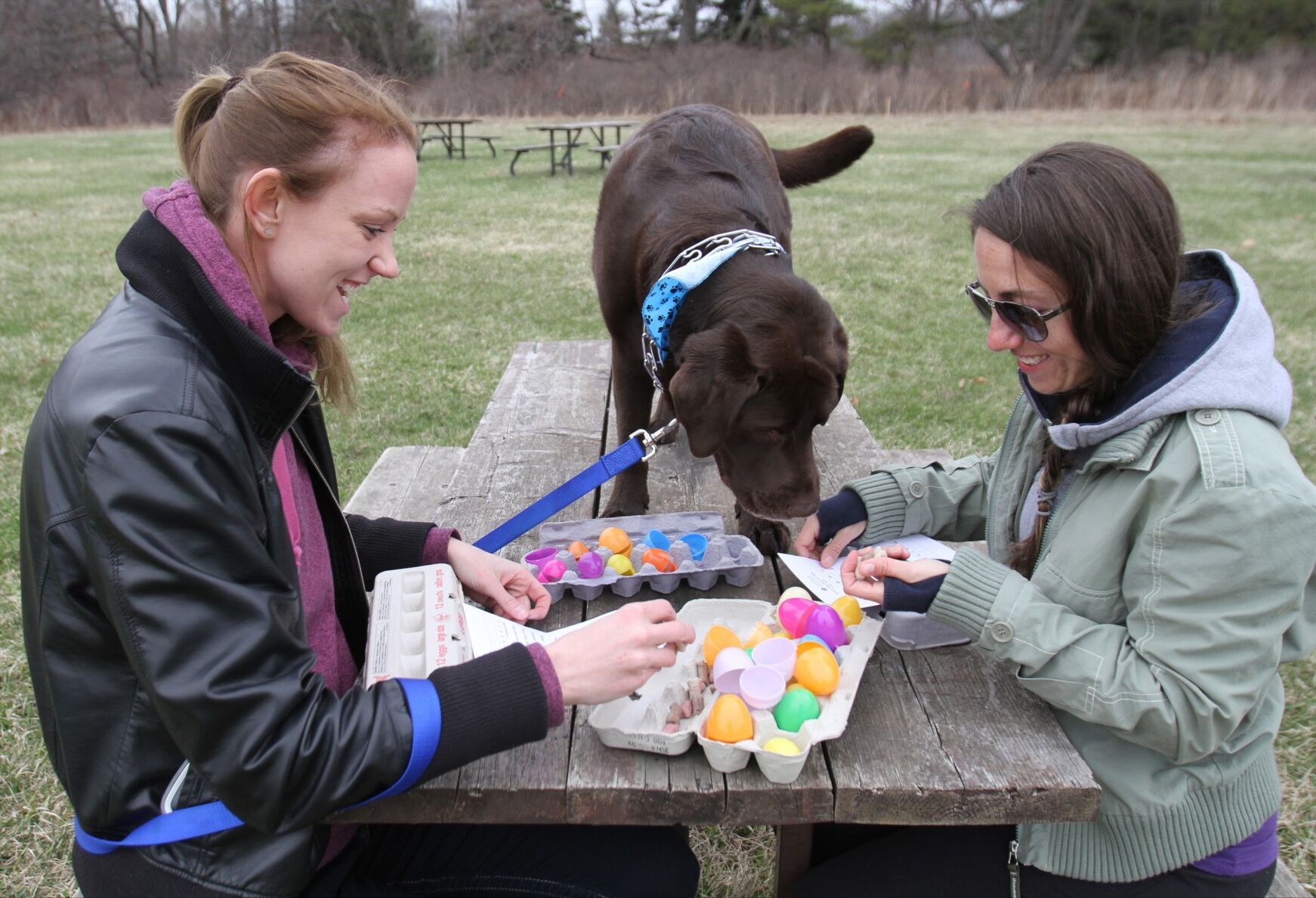 Dog easter egg hunt 2019 best sale near me