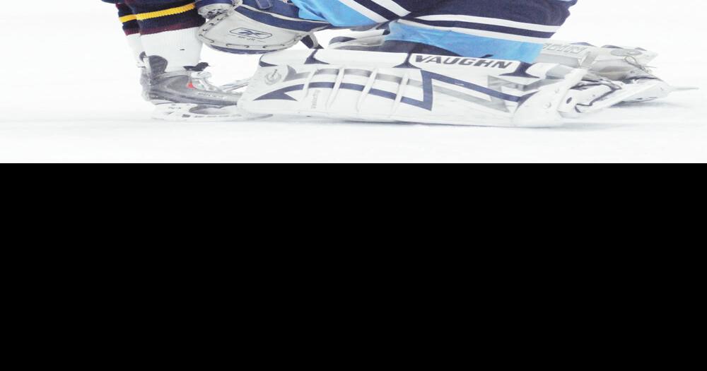 Oakville OMHA AAA minor atom champs, Eagles take bronze