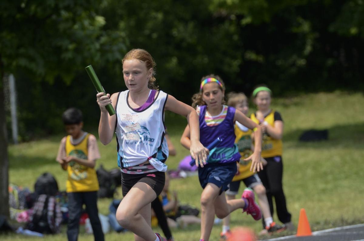 HDSB teaming up with Special Olympics Ontario for Sports Festival - Halton  Hills News