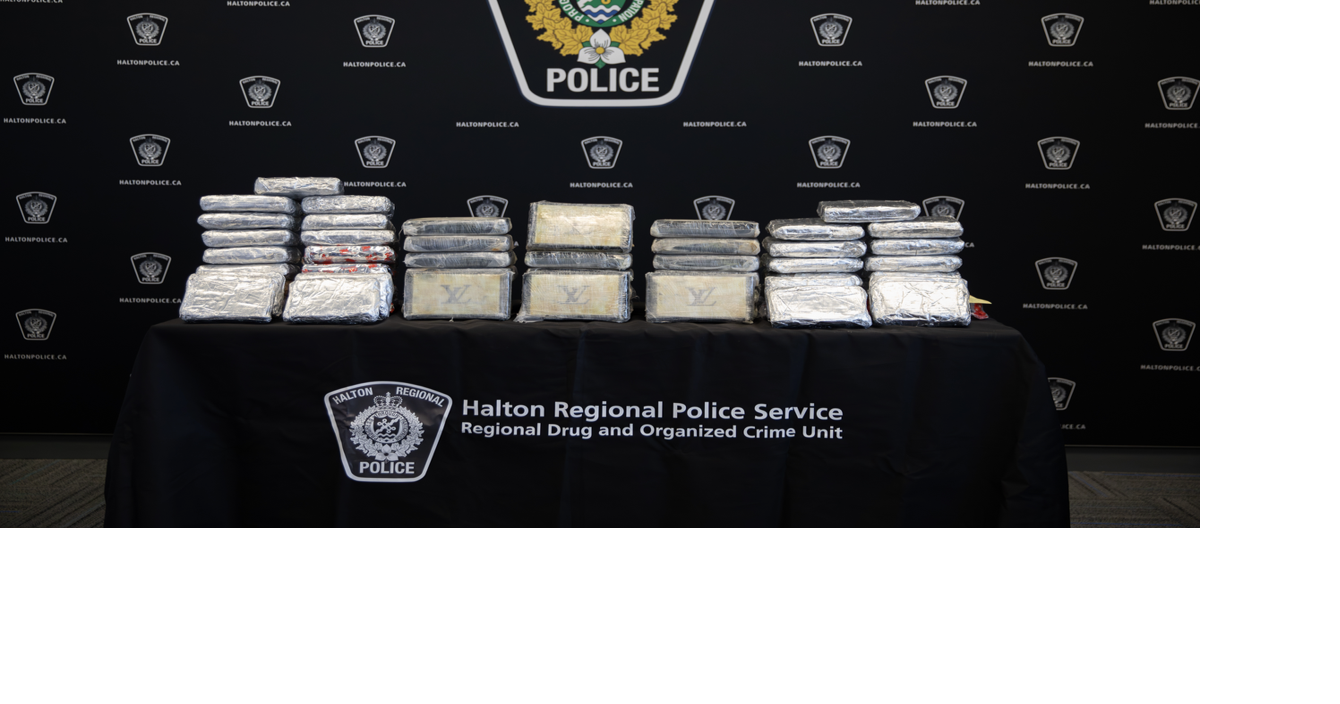 Halton police seize $1.5M in drugs, charge Toronto suspect