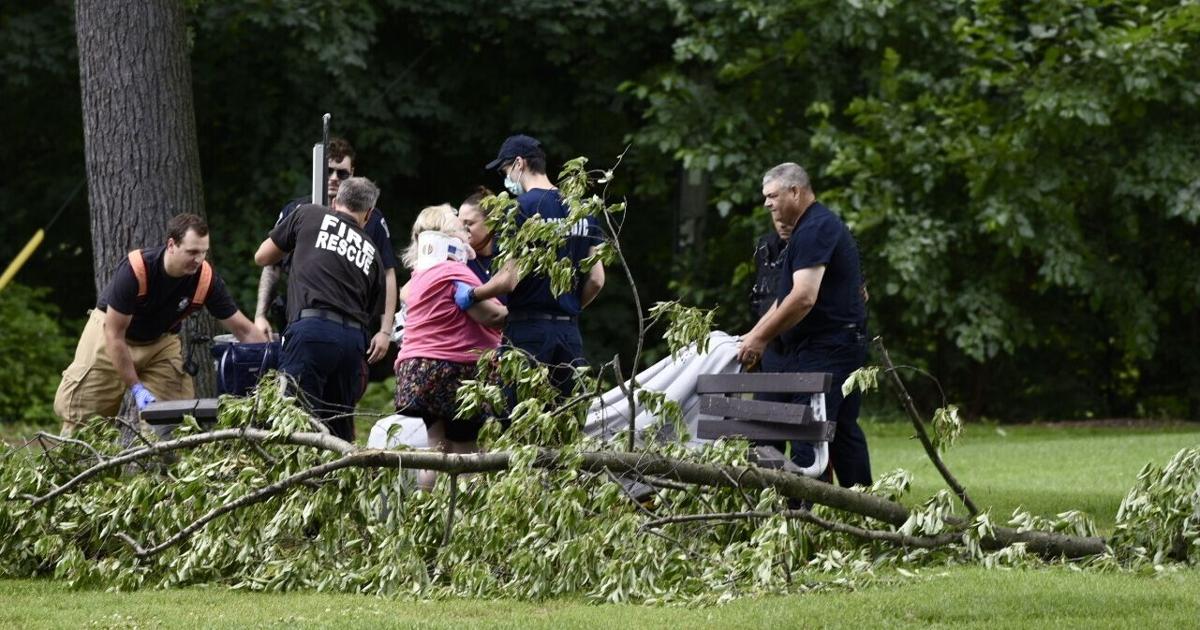 Woman hit by falling tree branch in Burlington neighbourhood and taken to hospital