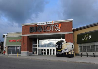 Big Lots sees opening in closeouts