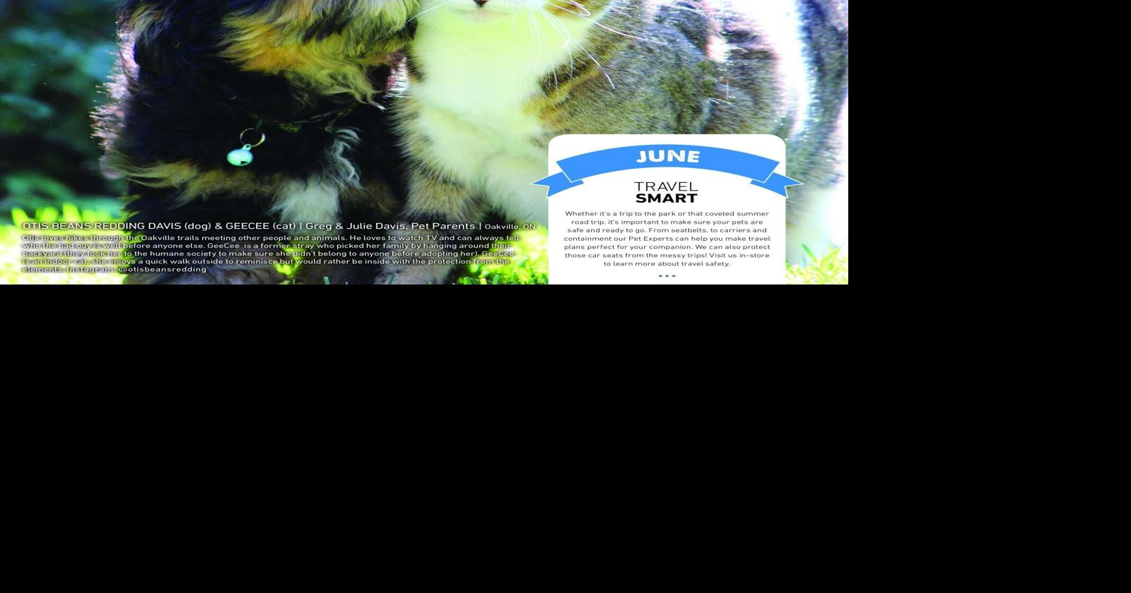 Oakville, Burlington pet owners among those chosen for Pet Valu calendar