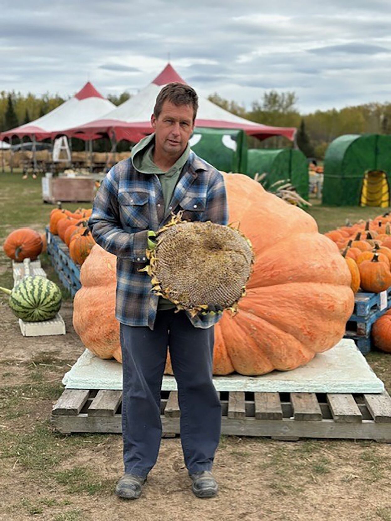 Prizewinning pumpkin could be Ontario's biggest ever