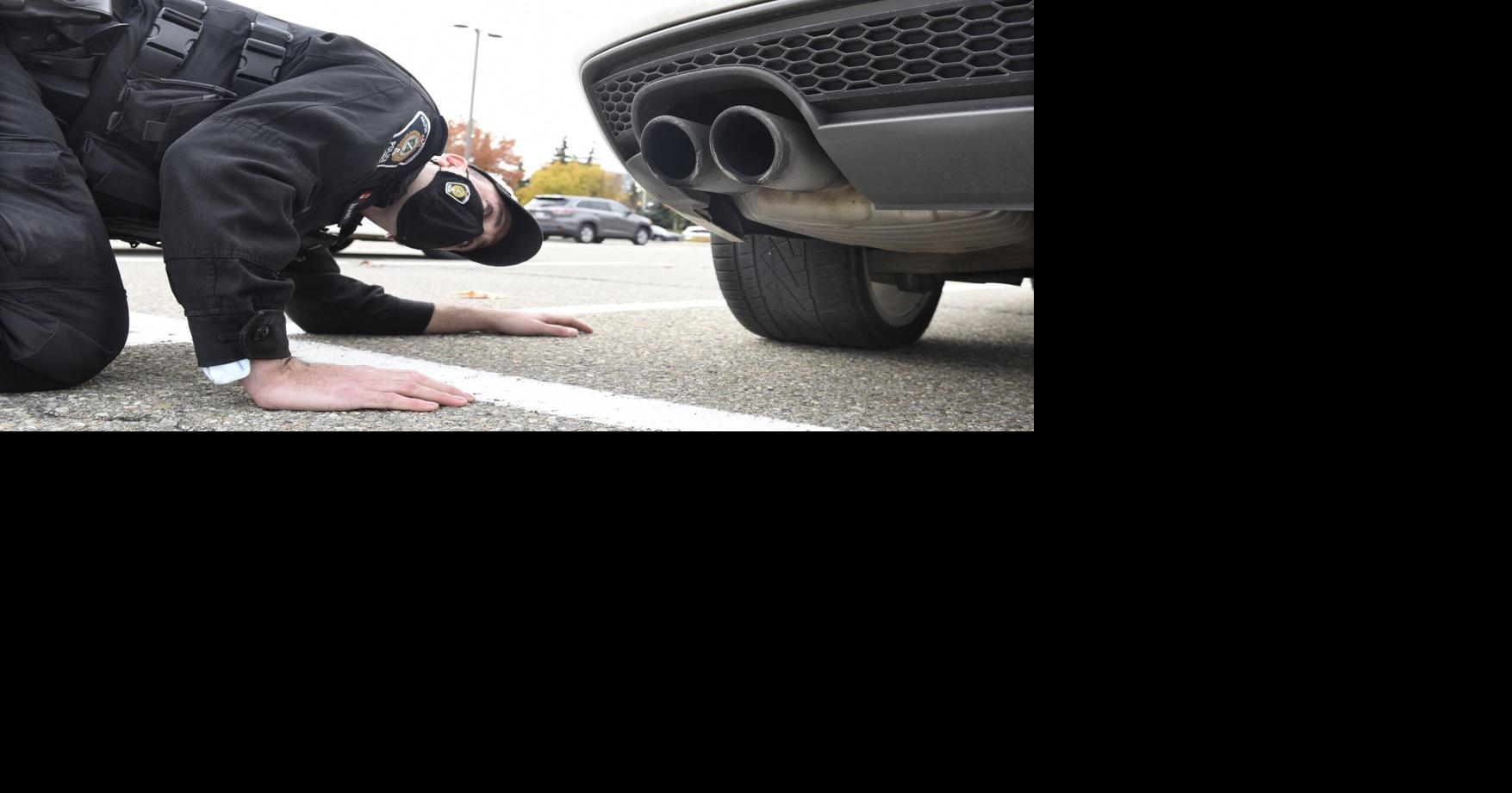‘There is a problem out there’: Milton calls for noise cameras to enforce vehicle decibel limits