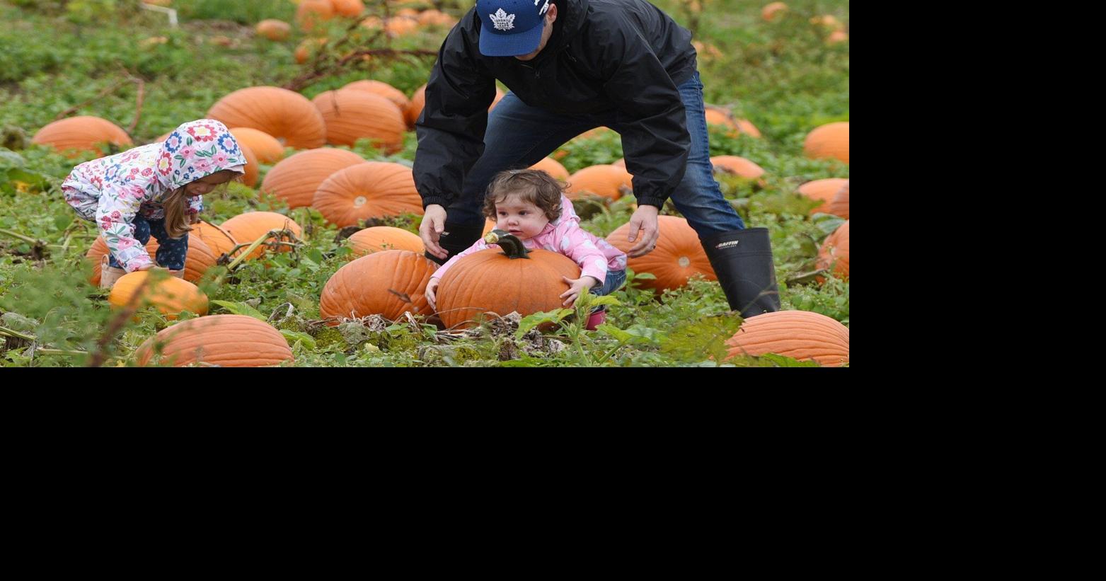 Ontario's first snow could be coming sooner than you think – Here's when