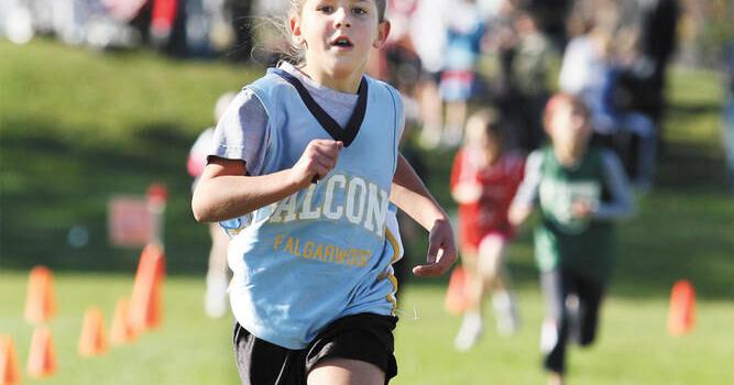 Three local schools win pennants at HDSB cross-country meet