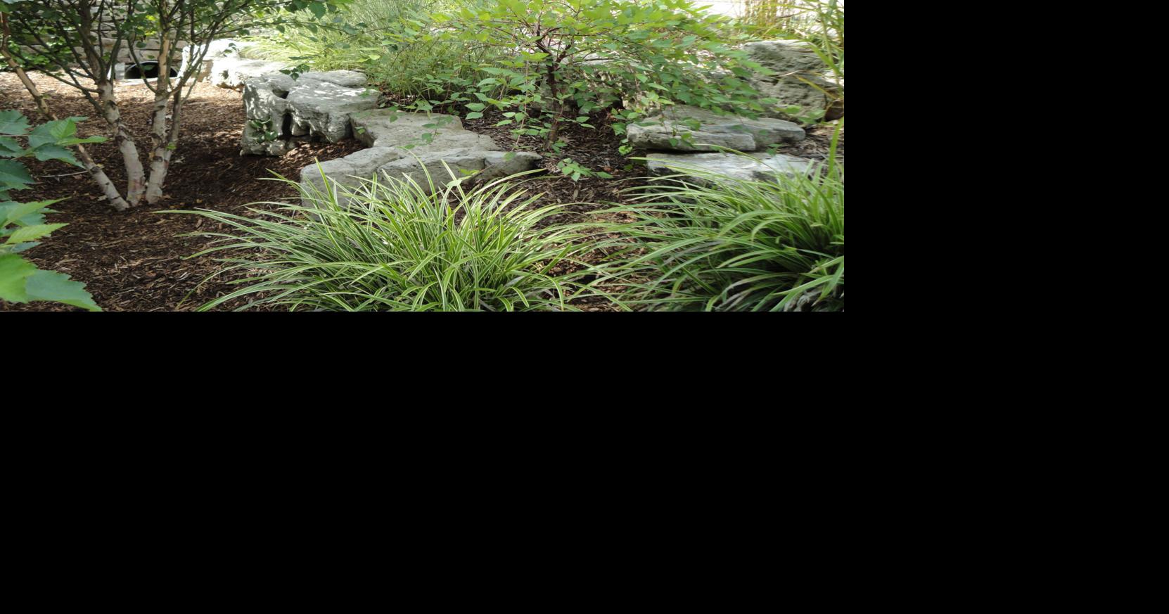 FloraTech Delivers Award-Winning Landscaping Services