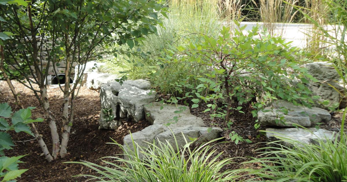 Floratech FloraTech Delivers Award-Winning Landscaping Services